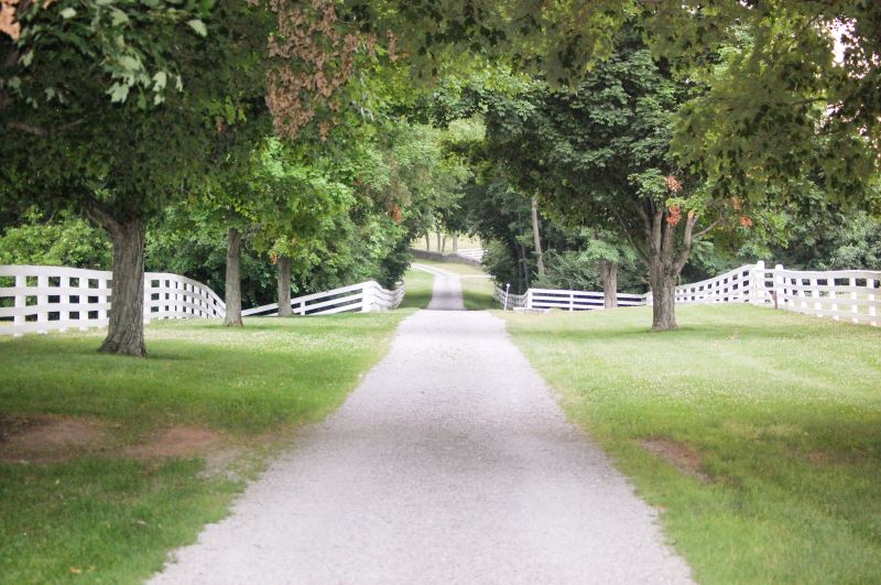 Driveway Grading And Graveling